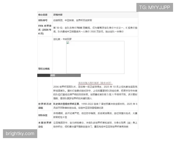 乌兹别克斯坦2026世界杯阵容预测 谁将扛起中亚狼进攻大旗